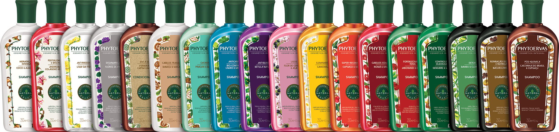 phytoervas phytoervas